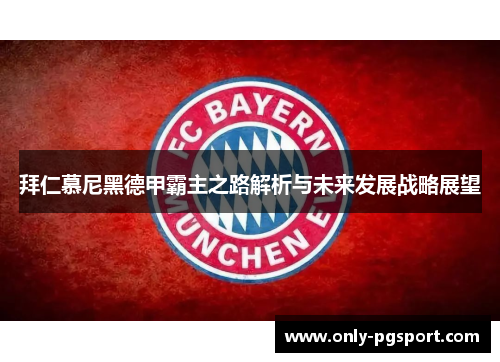 拜仁慕尼黑德甲霸主之路解析与未来发展战略展望