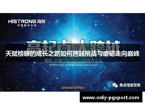 天赋榜眼的成长之路如何跨越挑战与磨砺走向巅峰