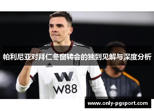 帕利尼亚对拜仁冬窗转会的独到见解与深度分析