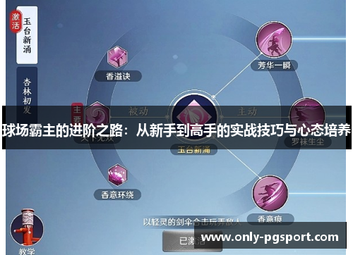 球场霸主的进阶之路：从新手到高手的实战技巧与心态培养