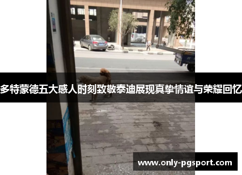 多特蒙德五大感人时刻致敬泰迪展现真挚情谊与荣耀回忆