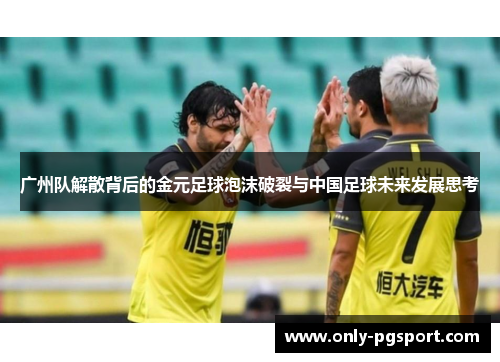 广州队解散背后的金元足球泡沫破裂与中国足球未来发展思考