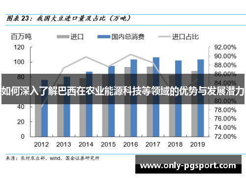 如何深入了解巴西在农业能源科技等领域的优势与发展潜力