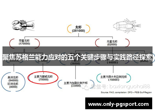 聚焦苏格兰能力应对的五个关键步骤与实践路径探索