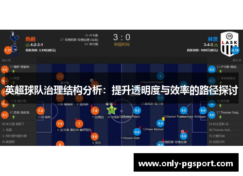 英超球队治理结构分析：提升透明度与效率的路径探讨