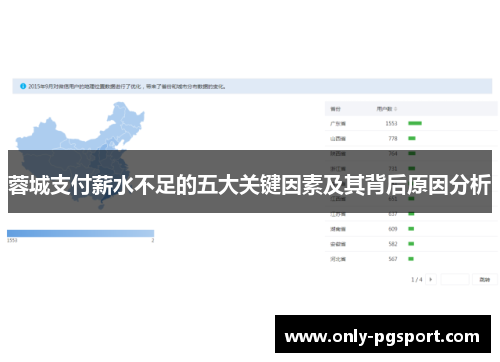 蓉城支付薪水不足的五大关键因素及其背后原因分析