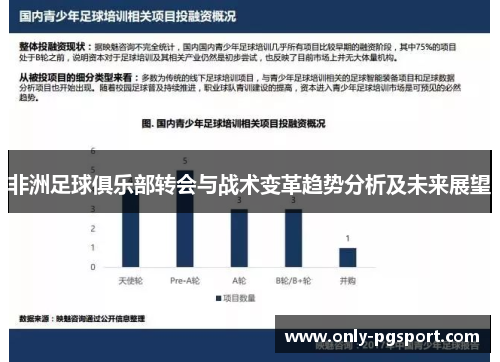 非洲足球俱乐部转会与战术变革趋势分析及未来展望